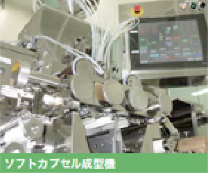 ソフトカプセルの特徴